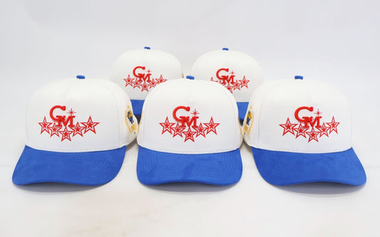 Suede Olympic Baseball Cap